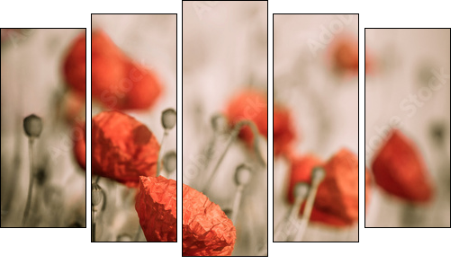 red poppy  - Obraz pięcioczęściowy, Pentaptyk