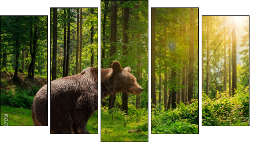 curious little bear in the forest  - Obraz pięcioczęściowy, Pentaptyk