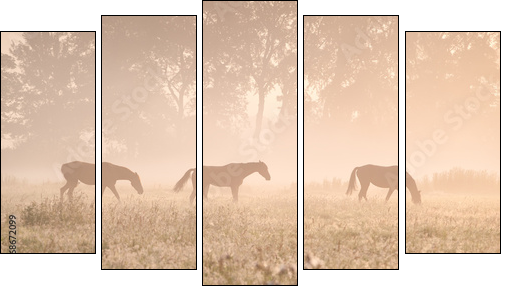 horses in sunshine and fog  - Obraz pięcioczęściowy, Pentaptyk
