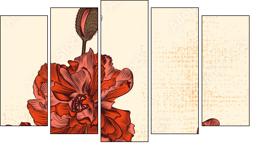 Grunge  background with hand drawn poppy flowers and butterfly  - Obraz pięcioczęściowy, Pentaptyk
