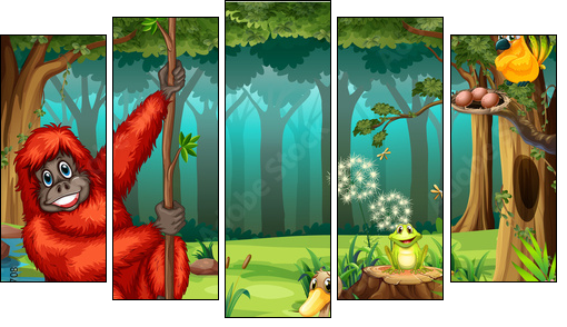 Orangutan in jungle  - Obraz pięcioczęściowy, Pentaptyk
