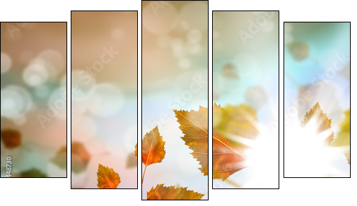 Autumn leaves  - Obraz pięcioczęściowy, Pentaptyk