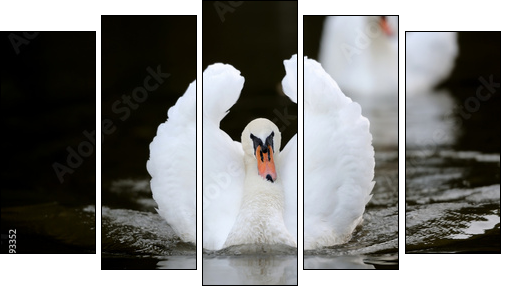 Swan in the lake  - Obraz pięcioczęściowy, Pentaptyk