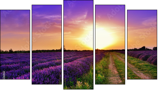 Lavender field  - Obraz pięcioczęściowy, Pentaptyk