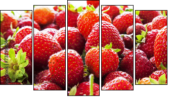 Strawberry panorama.  - Obraz pięcioczęściowy, Pentaptyk