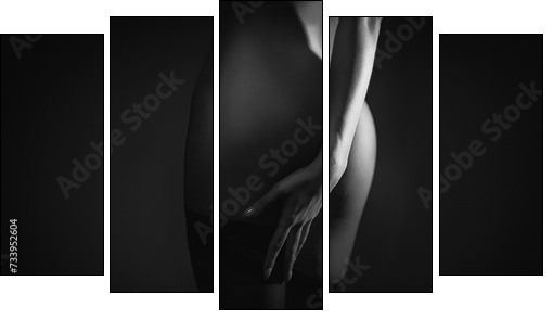 Light art on a woman's slender naked body. Buttocks. - Obraz pięcioczęściowy, Pentaptyk