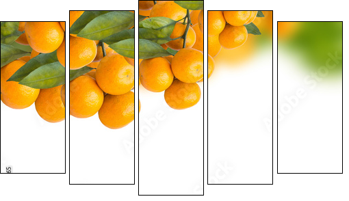 tangerine trees  - Obraz pięcioczęściowy, Pentaptyk