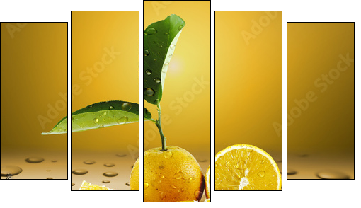 Laranja Molhada  - Obraz pięcioczęściowy, Pentaptyk