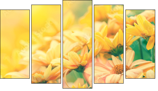Vintage flower lawn for background  - Obraz pięcioczęściowy, Pentaptyk