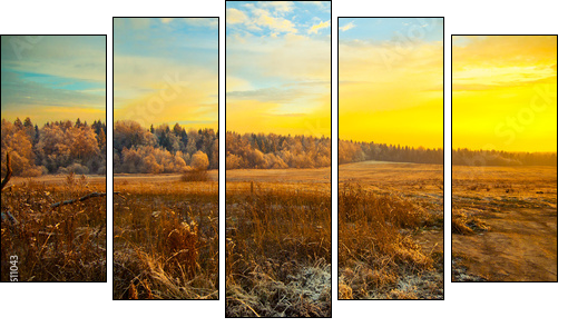 Field, forest, dry grass - beautiful landscape at sunset  - Obraz pięcioczęściowy, Pentaptyk