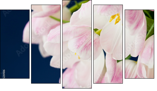 Pink tulips in vase on dark blue background  - Obraz pięcioczęściowy, Pentaptyk