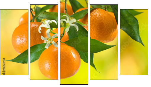 ripe tangerine on a yellow background  - Obraz pięcioczęściowy, Pentaptyk