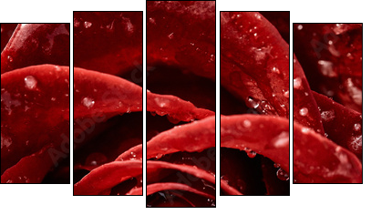 Red rose  - Obraz pięcioczęściowy, Pentaptyk