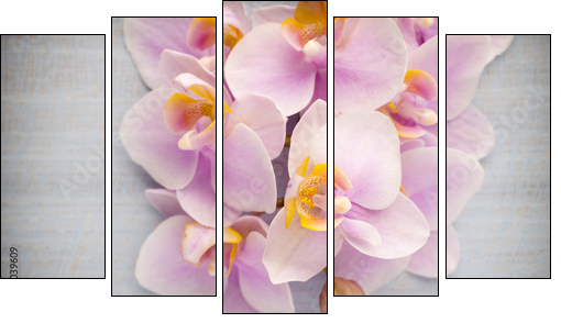 Orchid.  - Obraz pięcioczęściowy, Pentaptyk
