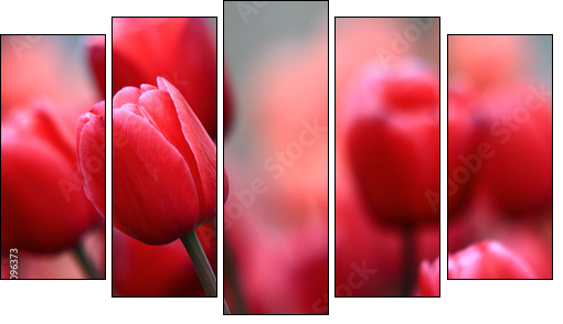 Pink tulips  - Obraz pięcioczęściowy, Pentaptyk