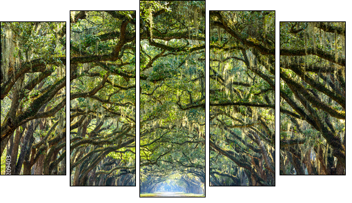 Country Road Lined with Oaks in Savannah, Georgia  - Obraz pięcioczęściowy, Pentaptyk