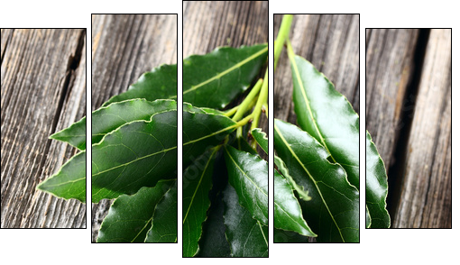 Laurel leaves on a wooden background  - Obraz pięcioczęściowy, Pentaptyk