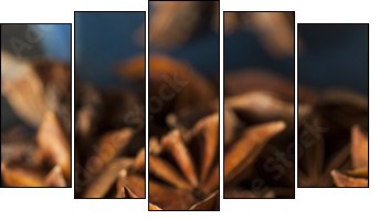 Organic Dry Star of Anise  - Obraz pięcioczęściowy, Pentaptyk