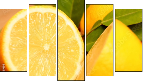 Zitronen  - Obraz pięcioczęściowy, Pentaptyk