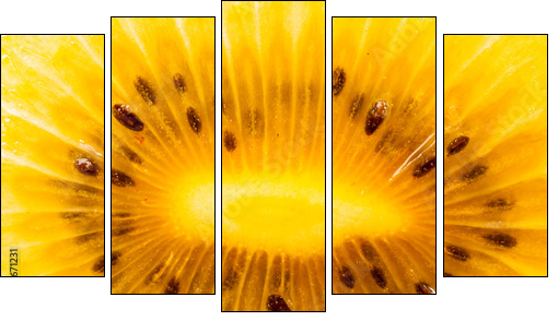 Yellow kiwi fruit on a white background  - Obraz pięcioczęściowy, Pentaptyk