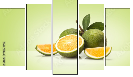 Green sweet oranges fruit  - Obraz pięcioczęściowy, Pentaptyk