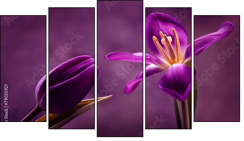 Tulipany - Obraz pięcioczęściowy, Pentaptyk