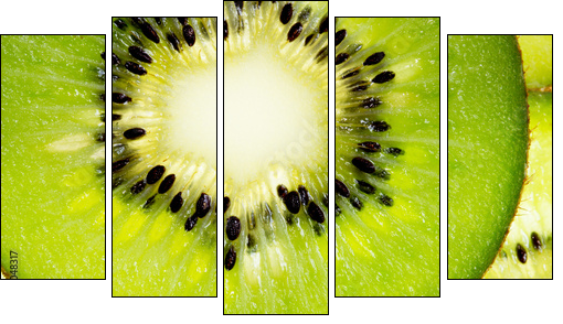 Close up of a healthy kiwi fruit  - Obraz pięcioczęściowy, Pentaptyk