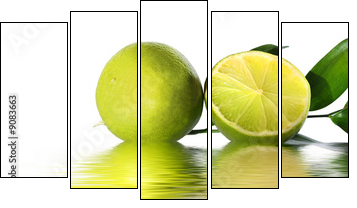 green lime  - Obraz pięcioczęściowy, Pentaptyk