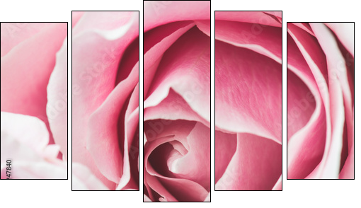 Na górze różowe róże
 - Obraz pięcioczęściowy, Pentaptyk