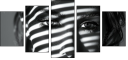 1009755653