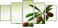 11107716