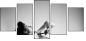 11330269