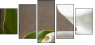 11542609