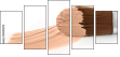 135153875