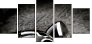 16438072