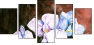 21439779