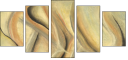21450824