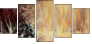 21581087