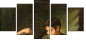 21653701