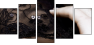 21991281