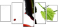 22748445