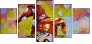 23864651