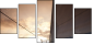 23896899