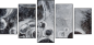 25109455