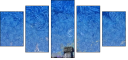 252232396
