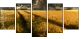 27477176