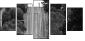 29227779