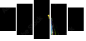 29381007