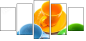 29455982