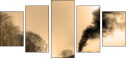 29517510